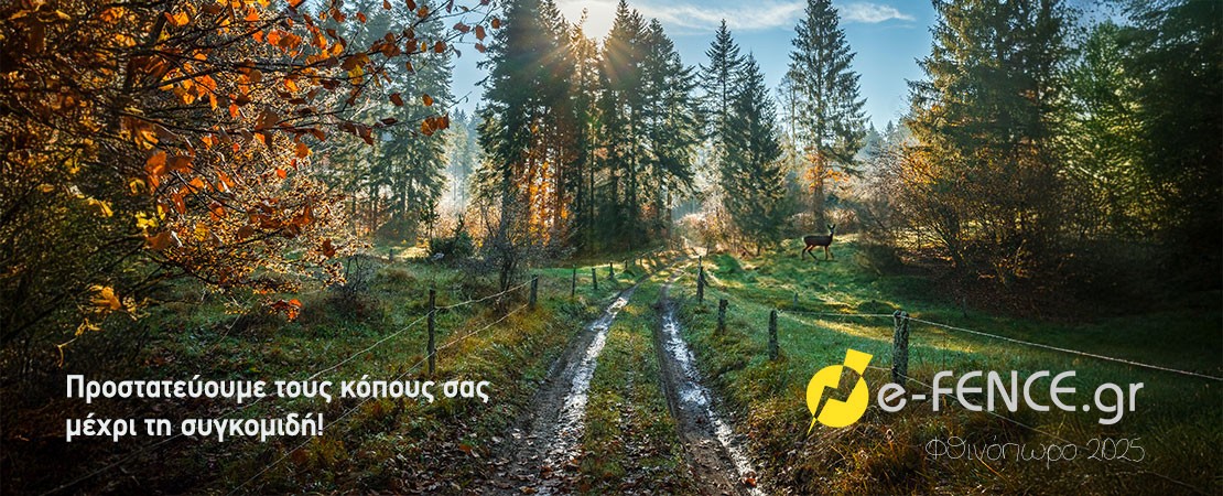 Autumn2025