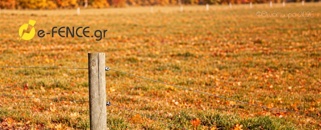 Autumn2026